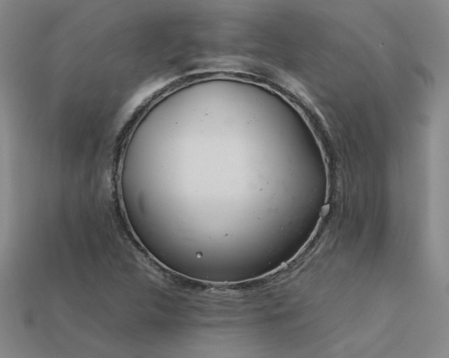 X0000113621312200909181431