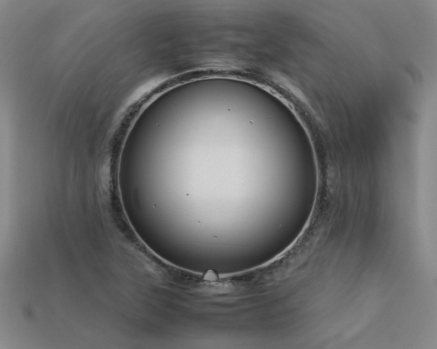 X0000113621315200909181431