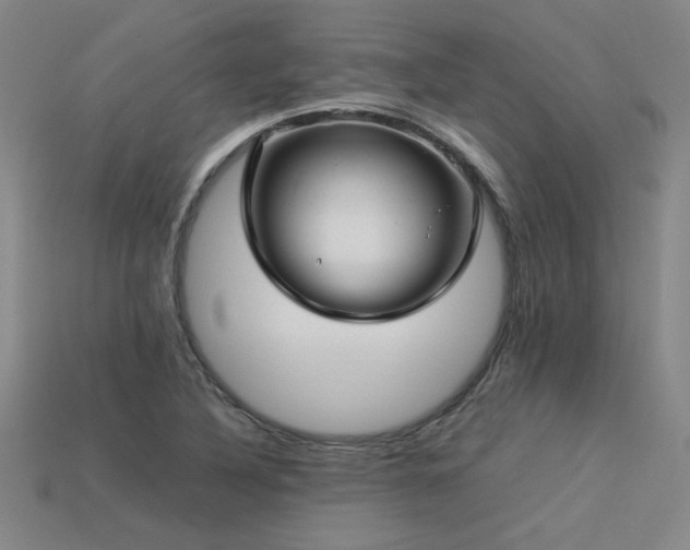 X0000113621316200909181431