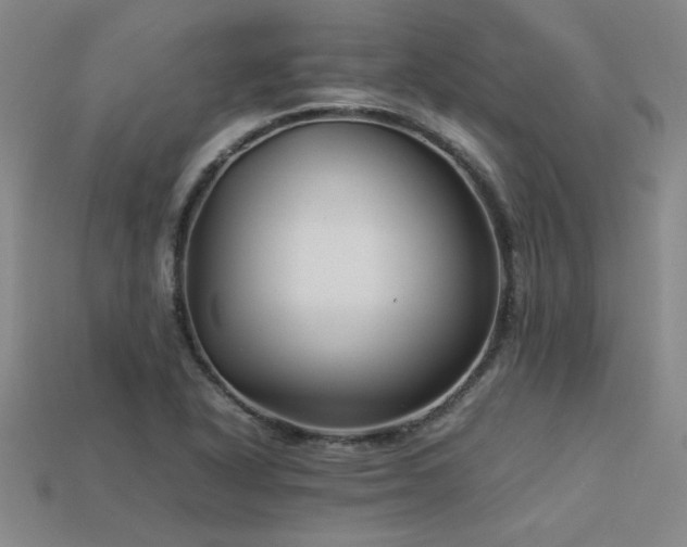 X0000113621318200909181431