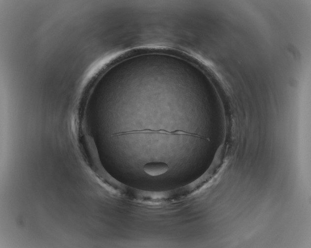 X0000113621319200909181431