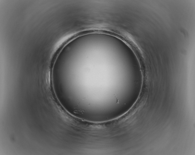 X0000113621320200909181431