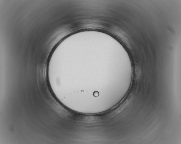 X0000113621322200909181431