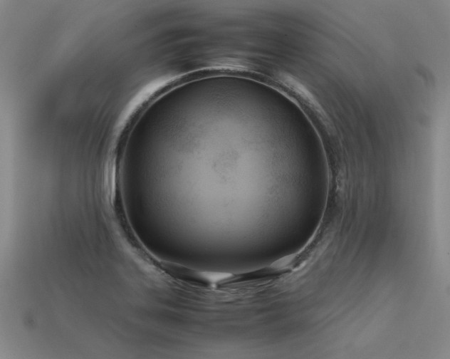 X0000113621323200909181431