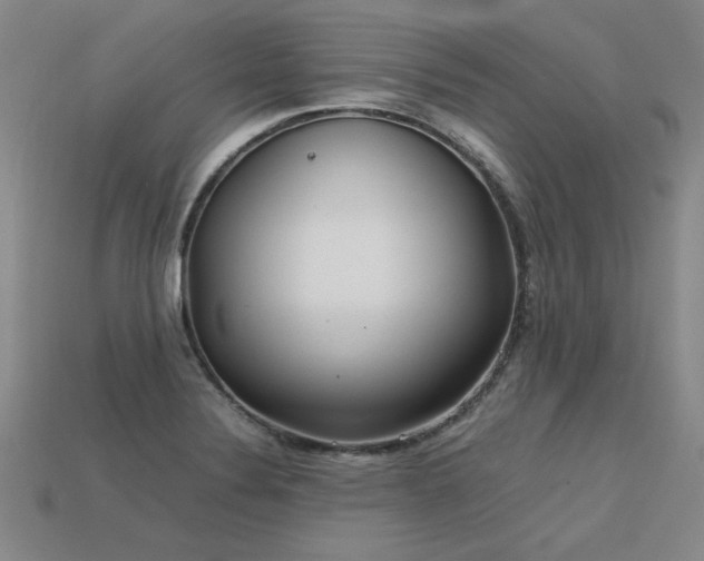 X0000113621324200909181431