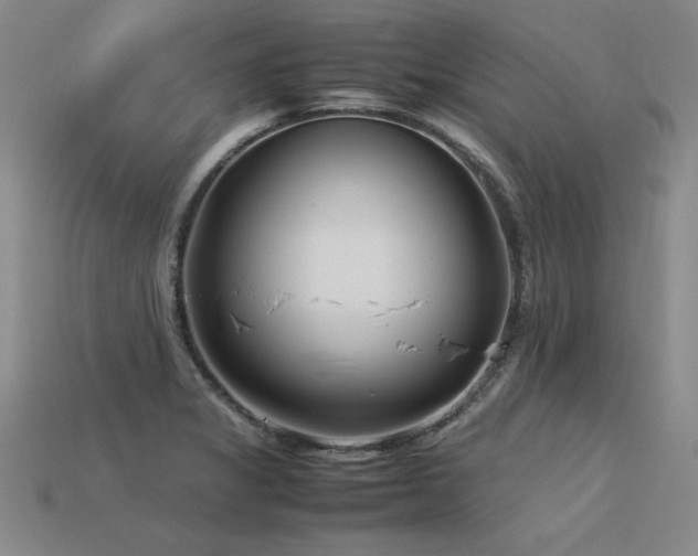 X0000113621325200909181431