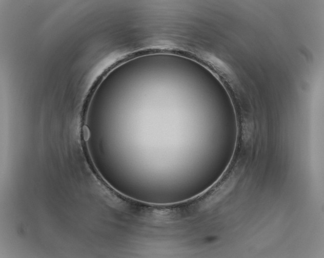 X0000113621326200909181431