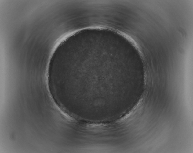 X0000113621327200909181431