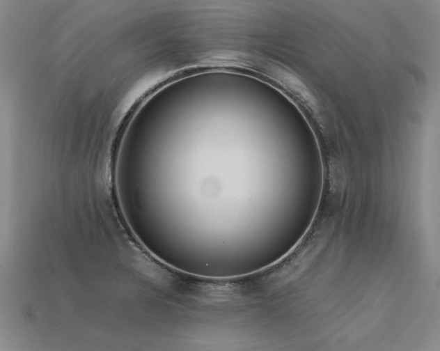 X0000113621328200909181431