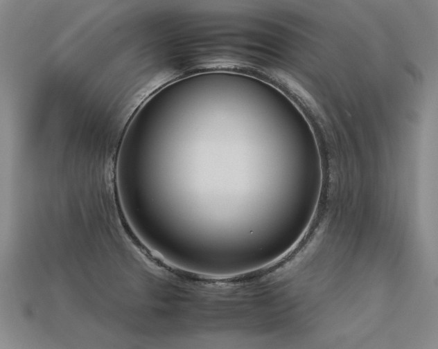 X0000113621329200909181431