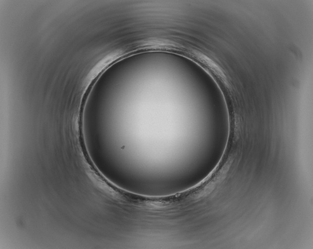 X0000113621330200909181431