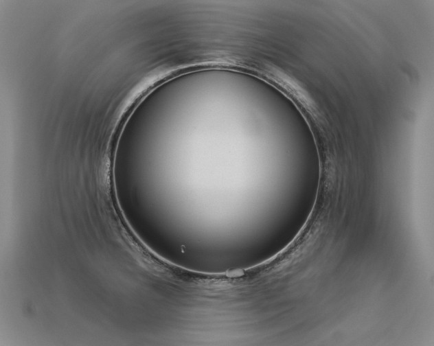 X0000113621332200909181431