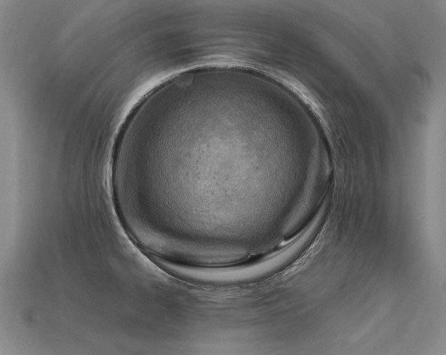 X0000113621334200909181431