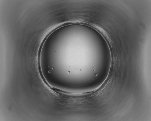 X0000113621335200909181431