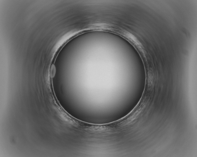 X0000113621336200909181431