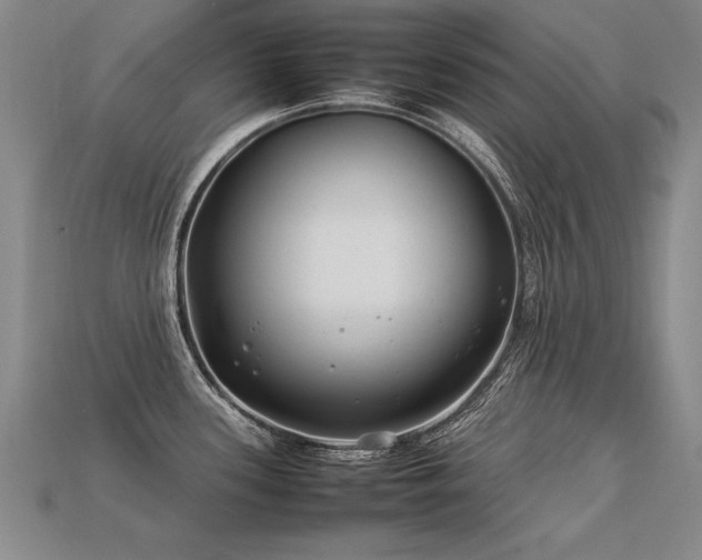 X0000113621339200909181431