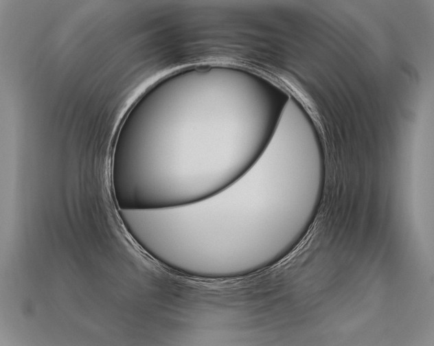 X0000113621340200909181431