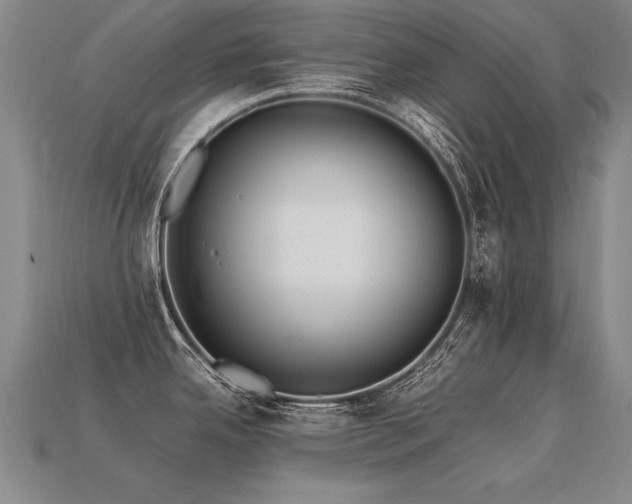 X0000113621342200909181431