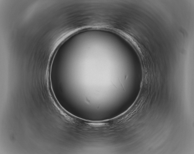 X0000113621343200909181431