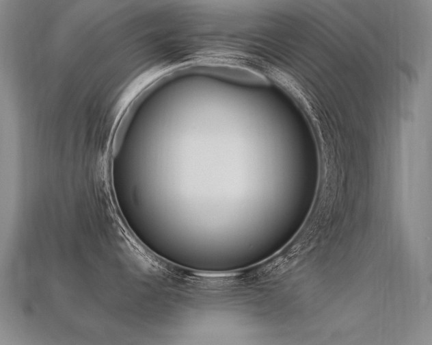 X0000113621344200909181431