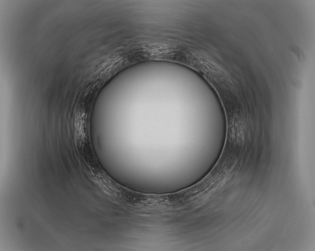 X0000113621346200909181431