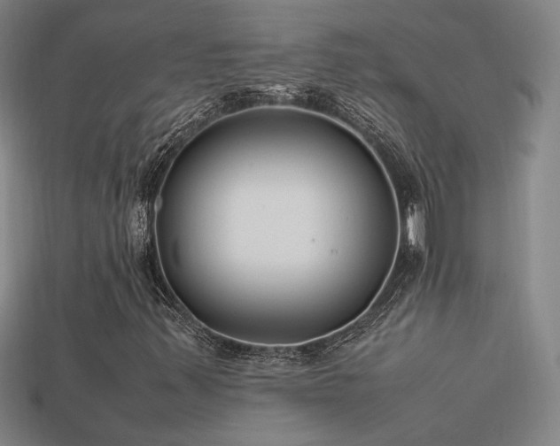 X0000113621347200909181431