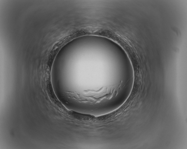 X0000113621349200909181431