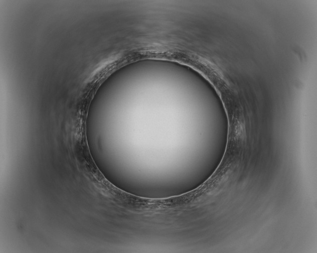 X0000113621350200909181431