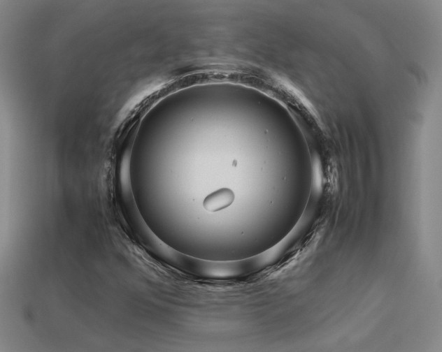 X0000113621352200909181431