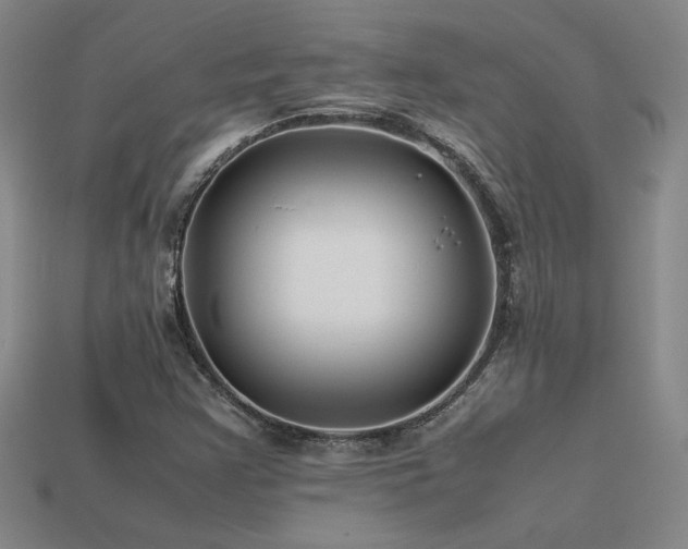 X0000113621355200909181431