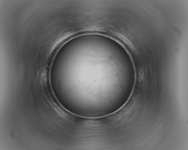 X0000113621356200909181431