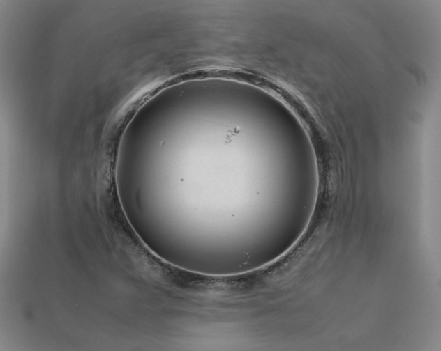 X0000113621359200909181431