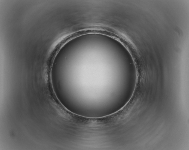 X0000113621360200909181431