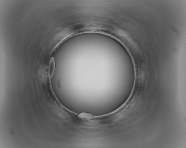 X0000113621361200909181431