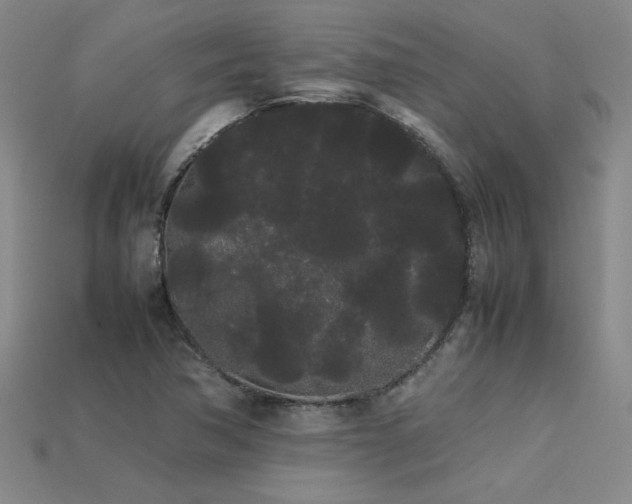 X0000113621362200909181431