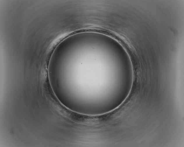 X0000113621363200909181431