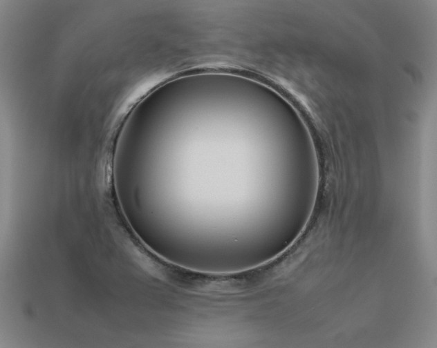 X0000113621367200909181431