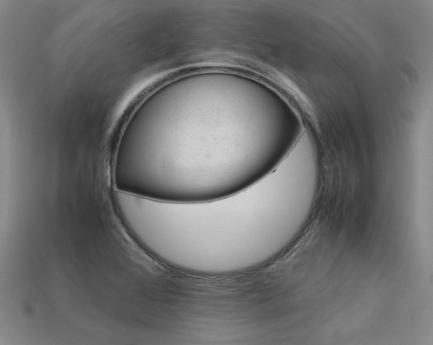 X0000113621368200909181431