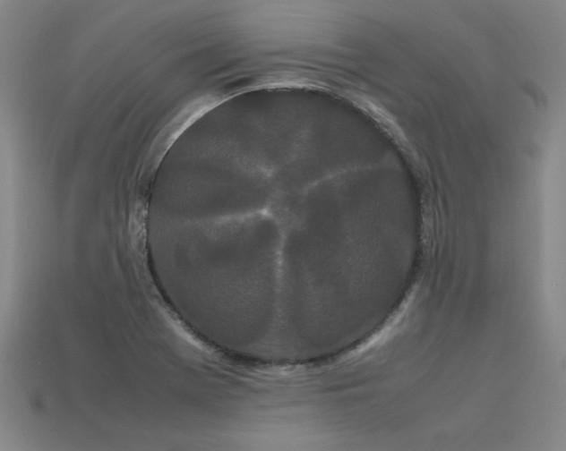 X0000113621369200909181431