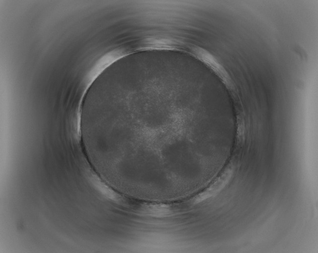 X0000113621370200909181431