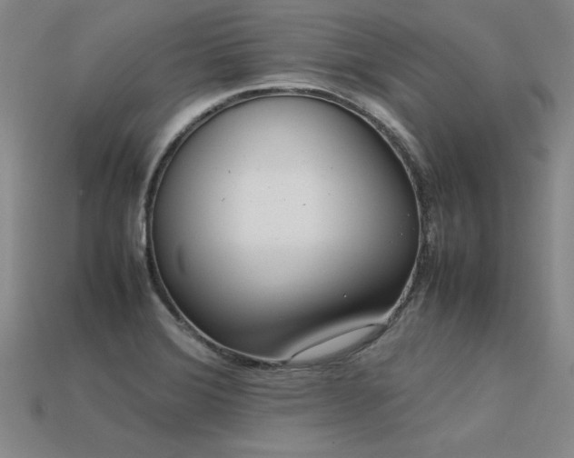 X0000113621372200909181430