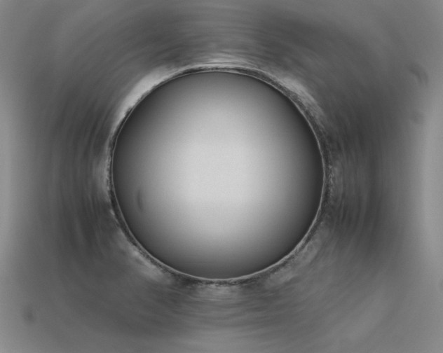 X0000113621374200909181430