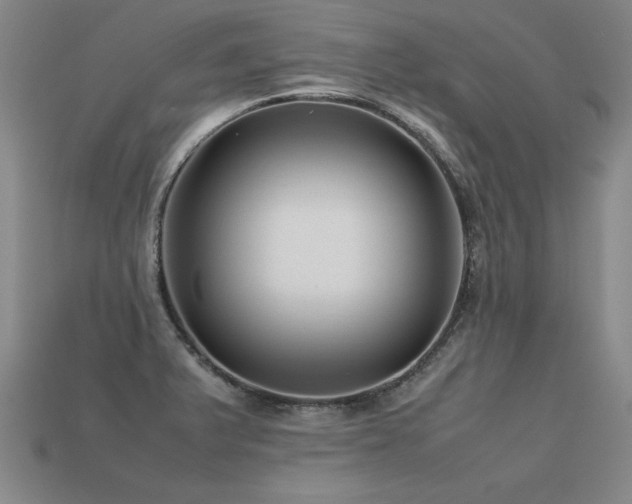 X0000113621375200909181430