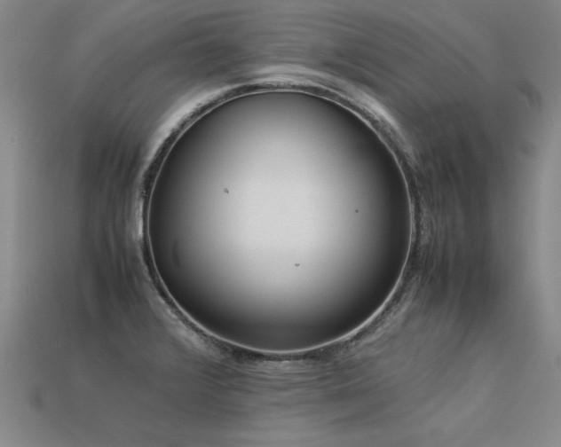 X0000113621376200909181430