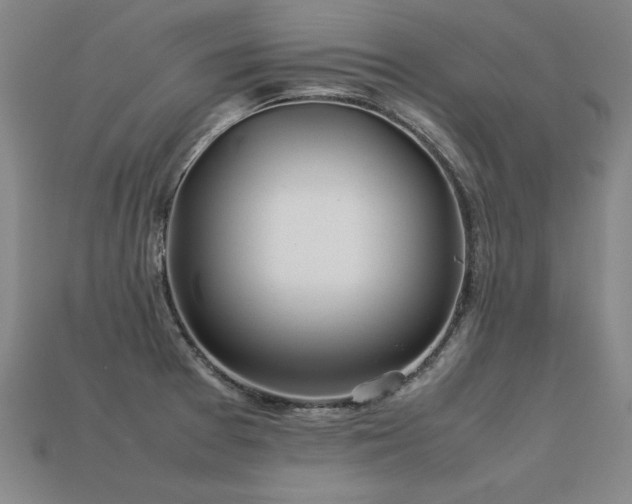 X0000113621377200909181430