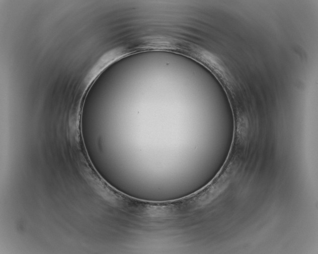 X0000113621378200909181430