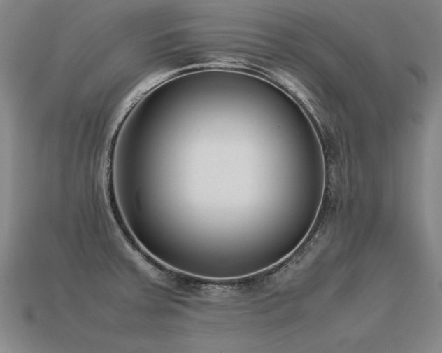 X0000113621379200909181430