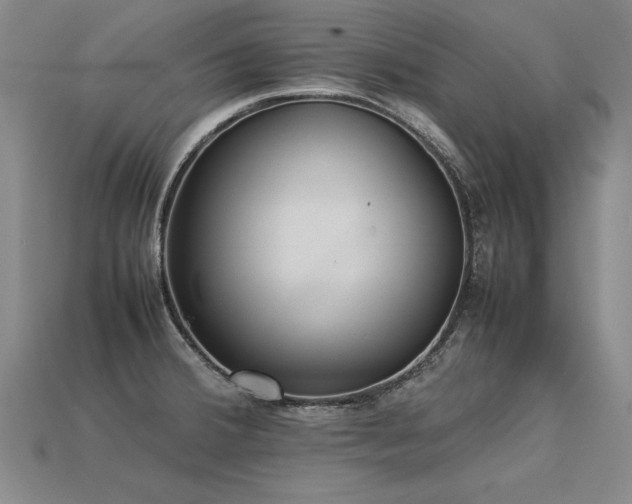 X0000113621380200909181430