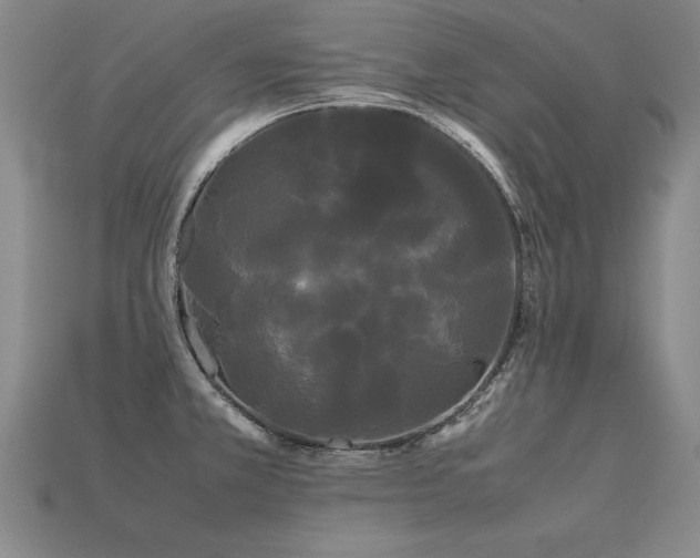 X0000113621381200909181430