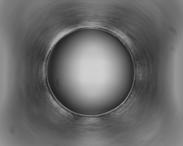 X0000113621382200909181430